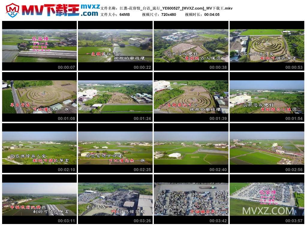 江蕙-花容情_台语_流行_YE600527